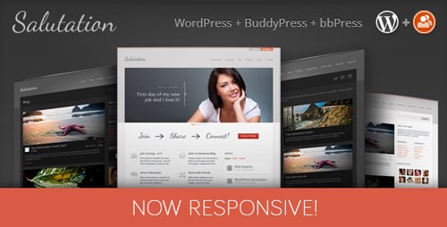 Download Salutation v3.0.7 Responsive BuddyPress WP theme
