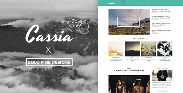 CASSIA V1.1 - A RESPONSIVE WORDPRESS BLOG THEME