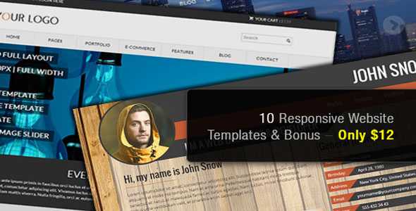 10 Responsive Website Templates with a Multiple License & Bonus
