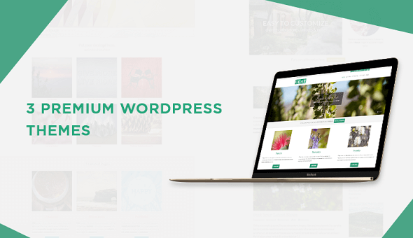 Download – 3 Premium Responsive WordPress Themes