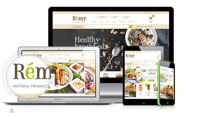 Download – REMY v1.0.5 – Responsive WordPress Theme