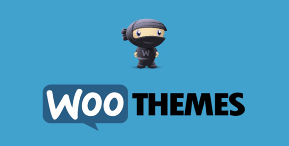 WooThemes 10 Add-ons Woocommerce – Update April 2016