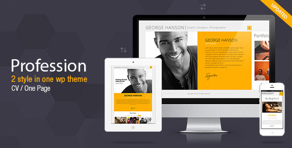 PROFESSION V2.9.2 - ONE PAGE CV RESUME THEME