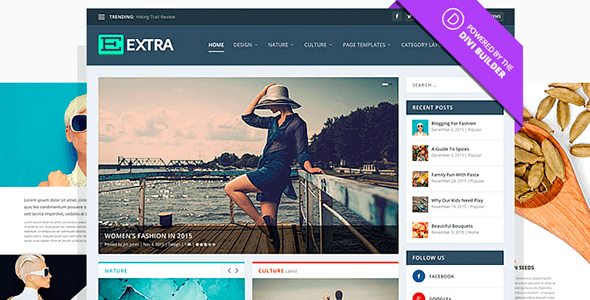 Extra v2.0.96 – Responsive Ultimate Magazine WordPress Theme