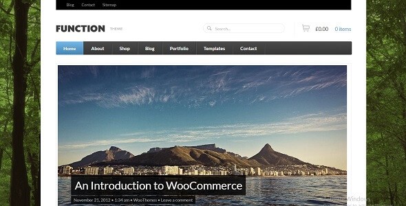 Function v1.4.13 – Responsive WordPress WooCommerce Theme