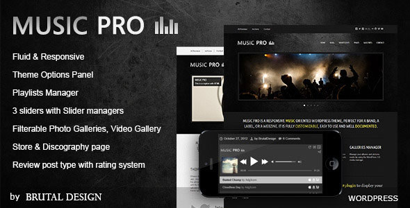 MUSIC PRO V3.3.0 - MUSIC ORIENTED WORDPRESS THEME