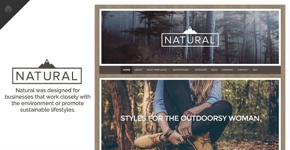 Natural v4.2.4 – Responsive WordPress Business Theme