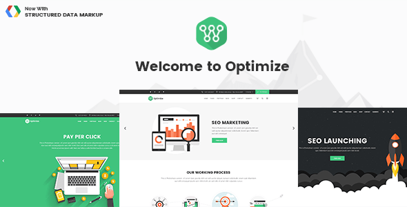 Optimize v1.3 – SEO, Digital Marketing, Social Media WP Theme
