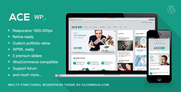 Ace - Responsive All Purpose Wordpress Theme