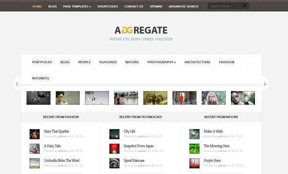 Aggregate ElegantThemes WordPress Theme