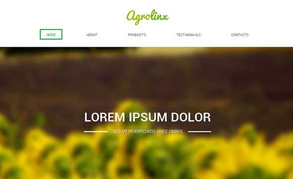 Agrolinx - Creativemarket Responsive One Page Theme