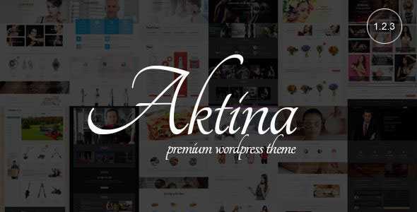 Aktina v1.2.3 - Responsive Multi-Purpose WordPress Theme