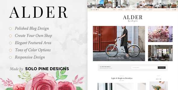 Alder v1.1 - A Responsive WordPress Blog Theme