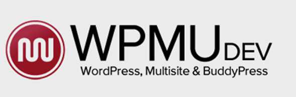 All WPMUdev Wordpress themes - October 2013