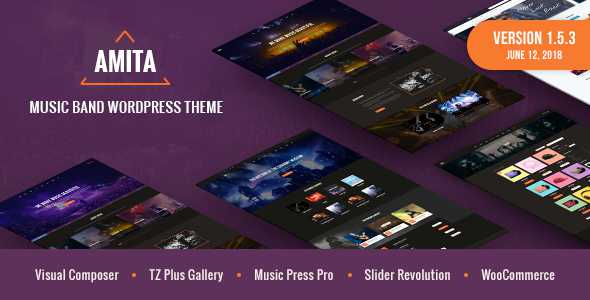 AMITA v1.5.3 - Music Band WordPress Theme