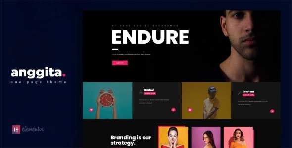 Anggita v1.1 - One Page Portfolio Theme