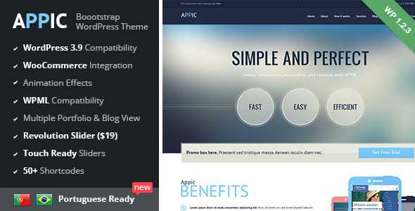 Appic - Business & Technology WordPress Theme