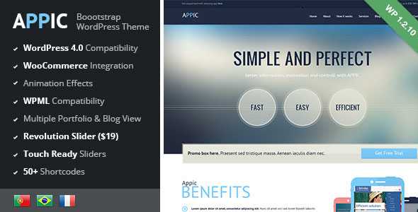 Appic v1.2.10 - Business & Technology WordPress Theme