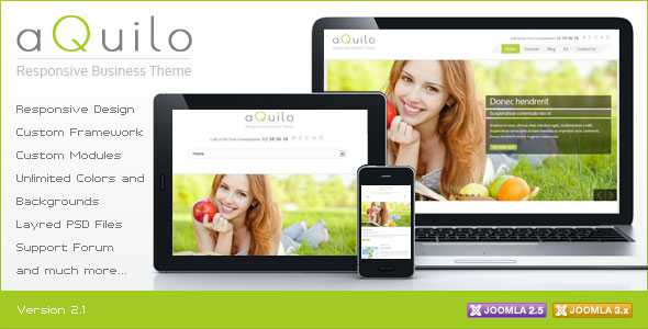 Aquilo - Themeforest Responsive Joomla Theme