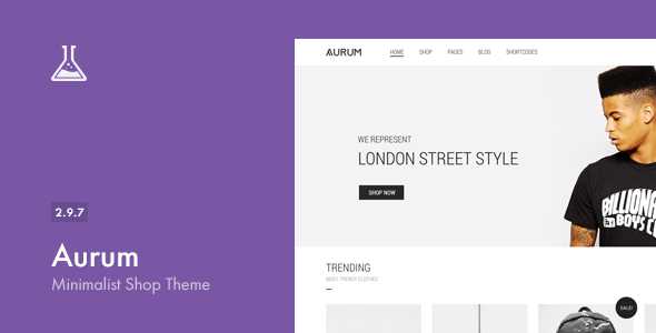 Aurum v2.9.7 - Themeforest Minimalist Shopping Theme