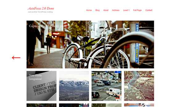 Autofocus Pro - Wordpress Theme