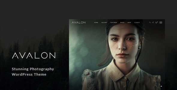 Avalon v1.0.9.9 - Photography and Portfolio WordPress Theme for Photographers