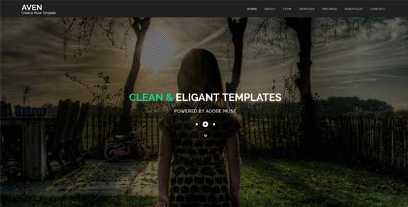 Aven - Multipurpose Parallax Muse Template