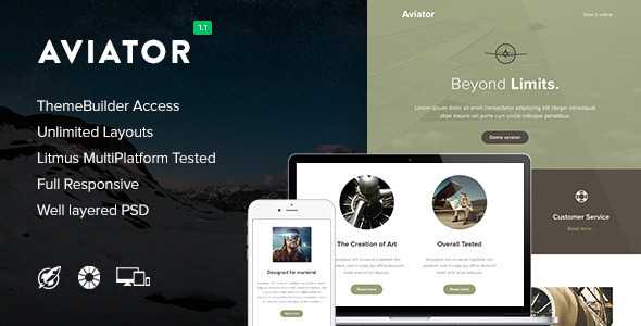 Aviator v1.1 - Responsive Email + Themebuilder Access