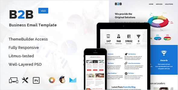 B2B - Business Email Template + Builder Access