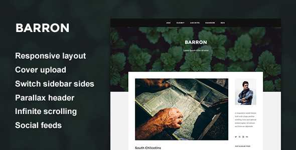 Barron - Content Focus Tumblr Theme