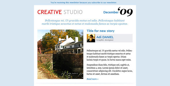 BFM Themeforest NEWSLETTER TEMPLATE