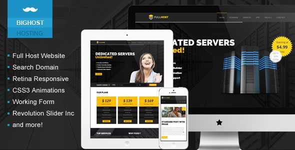 Bighost Hosting Responsive Theme