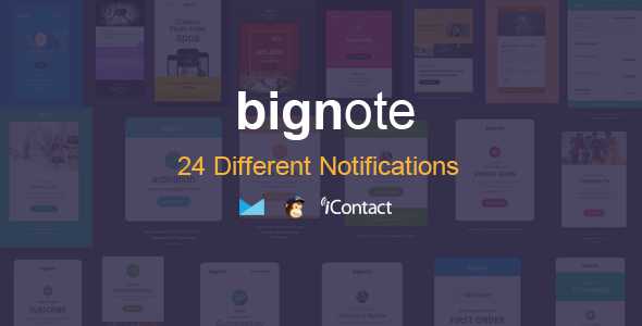 Bignote - 24 Unique Responsive Email Notification set + Online Access