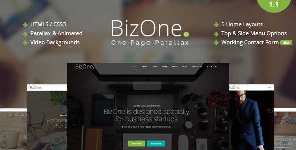 BizOne v1.1 - One Page Parallax