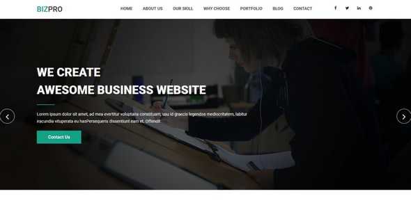 Bizpro v1.1 - OnePage HTML Business Template