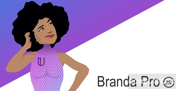 Branda Pro v3.4.28 - WordPress white label branding