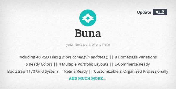 Buna - Your Next Agency/Portfolio PSD Template