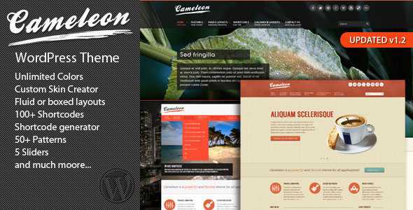 Cameleon Multipurpose WordPress Theme
