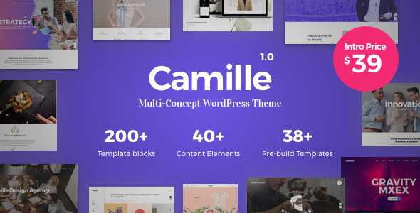 Camille v1.0.2 - Multi-Concept WordPress Theme