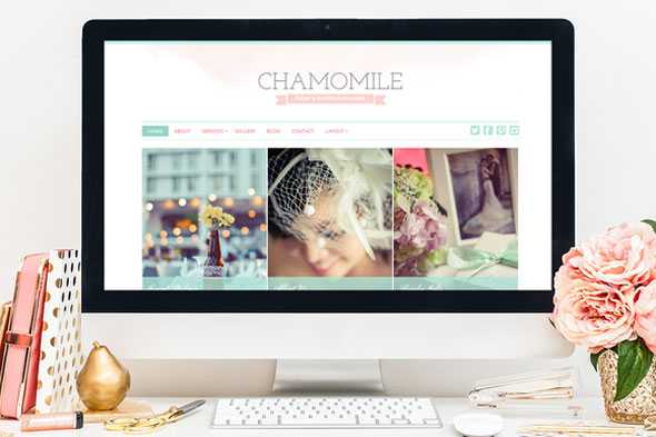 Chamomile - Creativemarket WordPress Theme