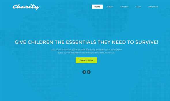 Charity - Creativemarket Responsive One Page Theme
