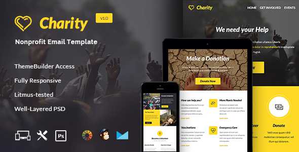 Charity - Nonprofit & Fundraising E-newsletter + Builder Access