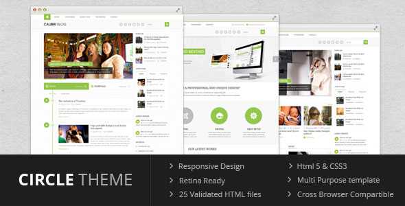 Circle theme - Themeforest Multi Purpose Template