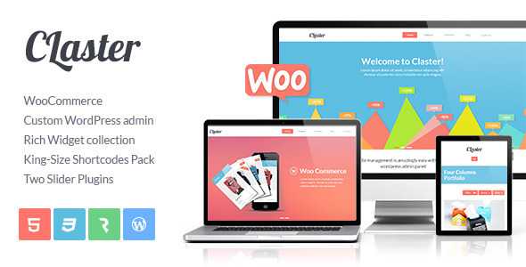 Claster - Multi-Purpose WP WooCommerce Theme