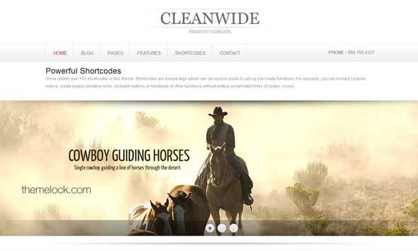 CleanWide - Templatesold Personal/Creative WordPress Theme