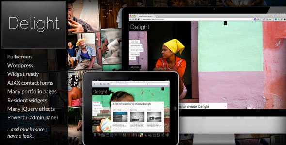 Delight 3.4.2 Fullscreen WP Portfolio Themeforest Theme