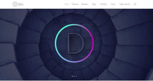 Divi - ElegantThemes Wordpress Theme