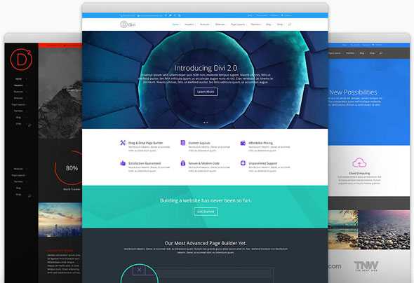 Divi v2.5.5. + Divi Builder v1.1.1 + PSD