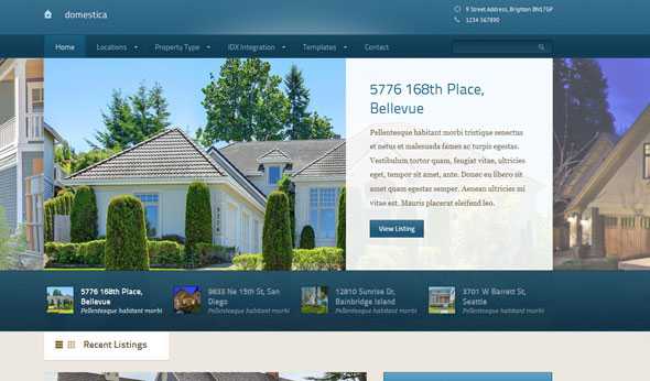 Domestica WpZoom Wordpress Theme