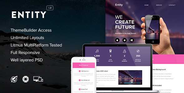 Entity v1.2 - Responsive Email + Themebuilder Access